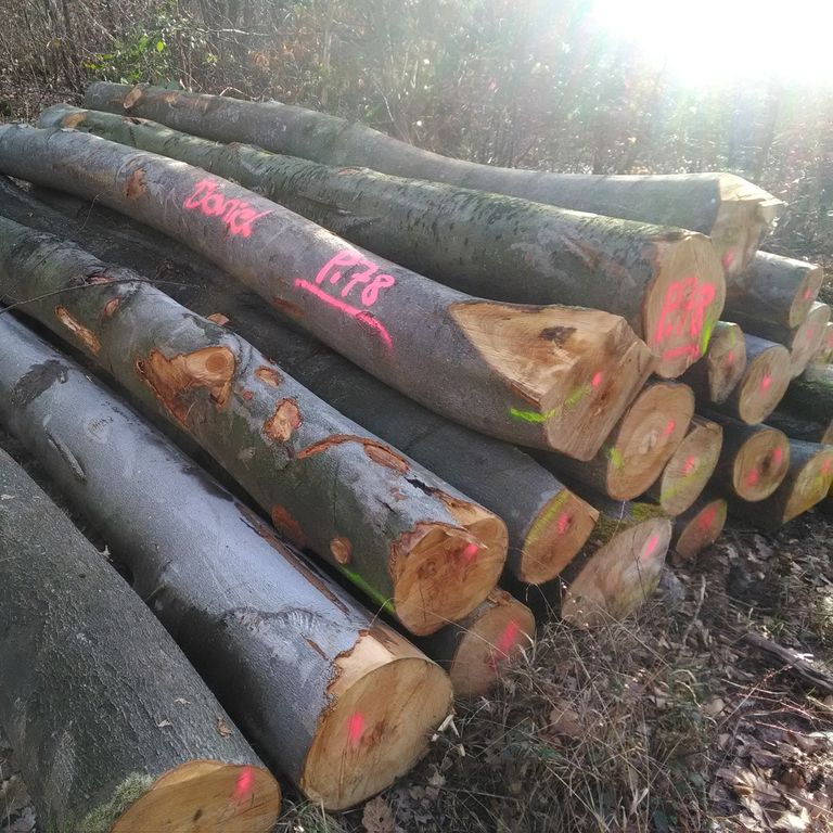Ofenfertiges Holz